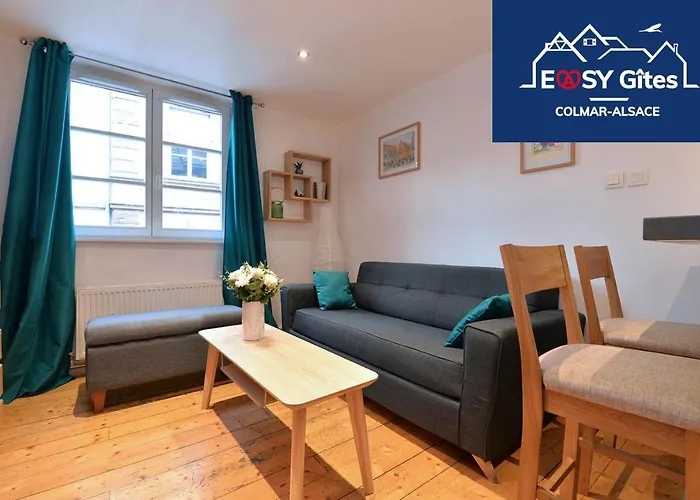 Le Cosy De La Petite Venise * Colmar