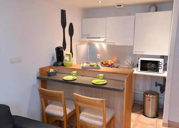 Le Cosy De La Petite Venise Appartamento Colmar