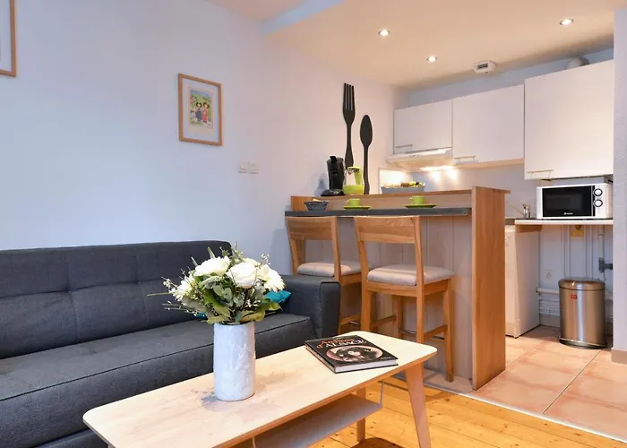 Le Cosy De La Petite Venise 公寓 *