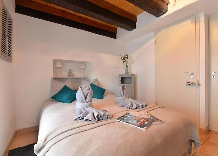 Le Cosy De La Petite Venise 公寓 *